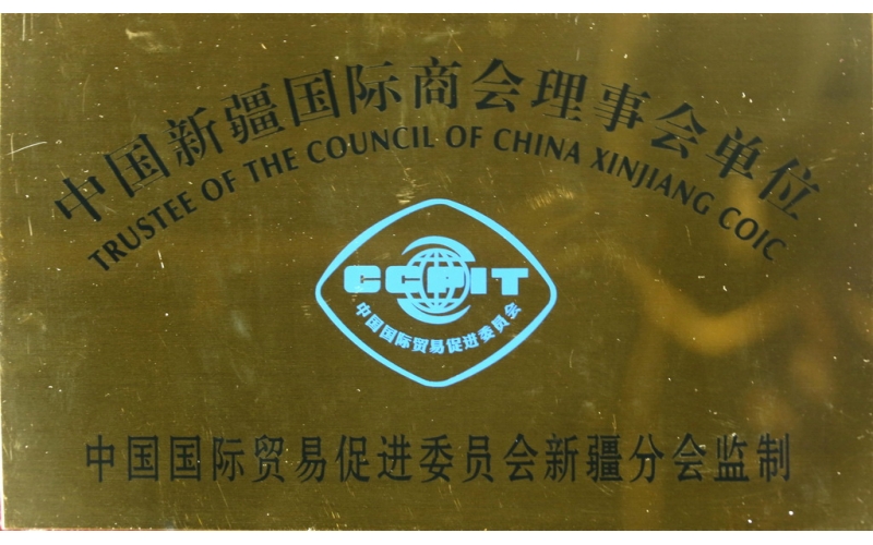 中国国际商会理事会单元